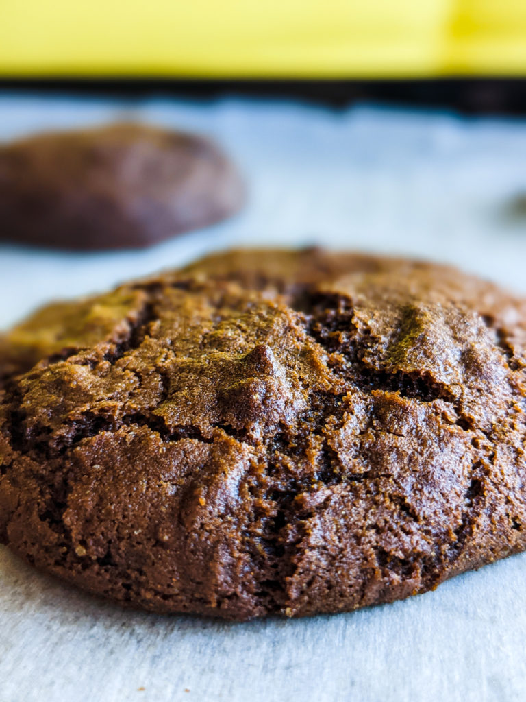 Single ginger molasses cookie