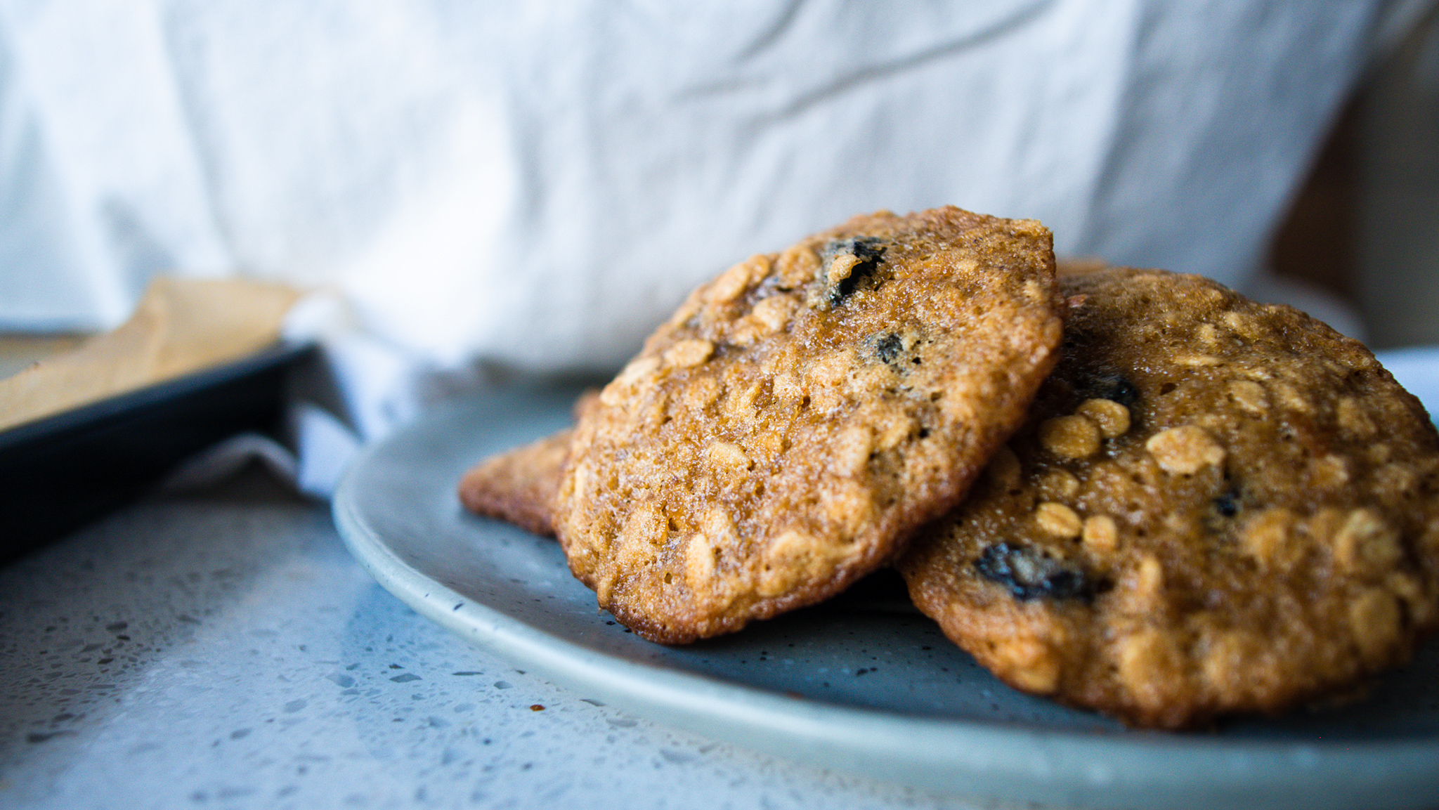 blueberry oatmeal cookie on a plate