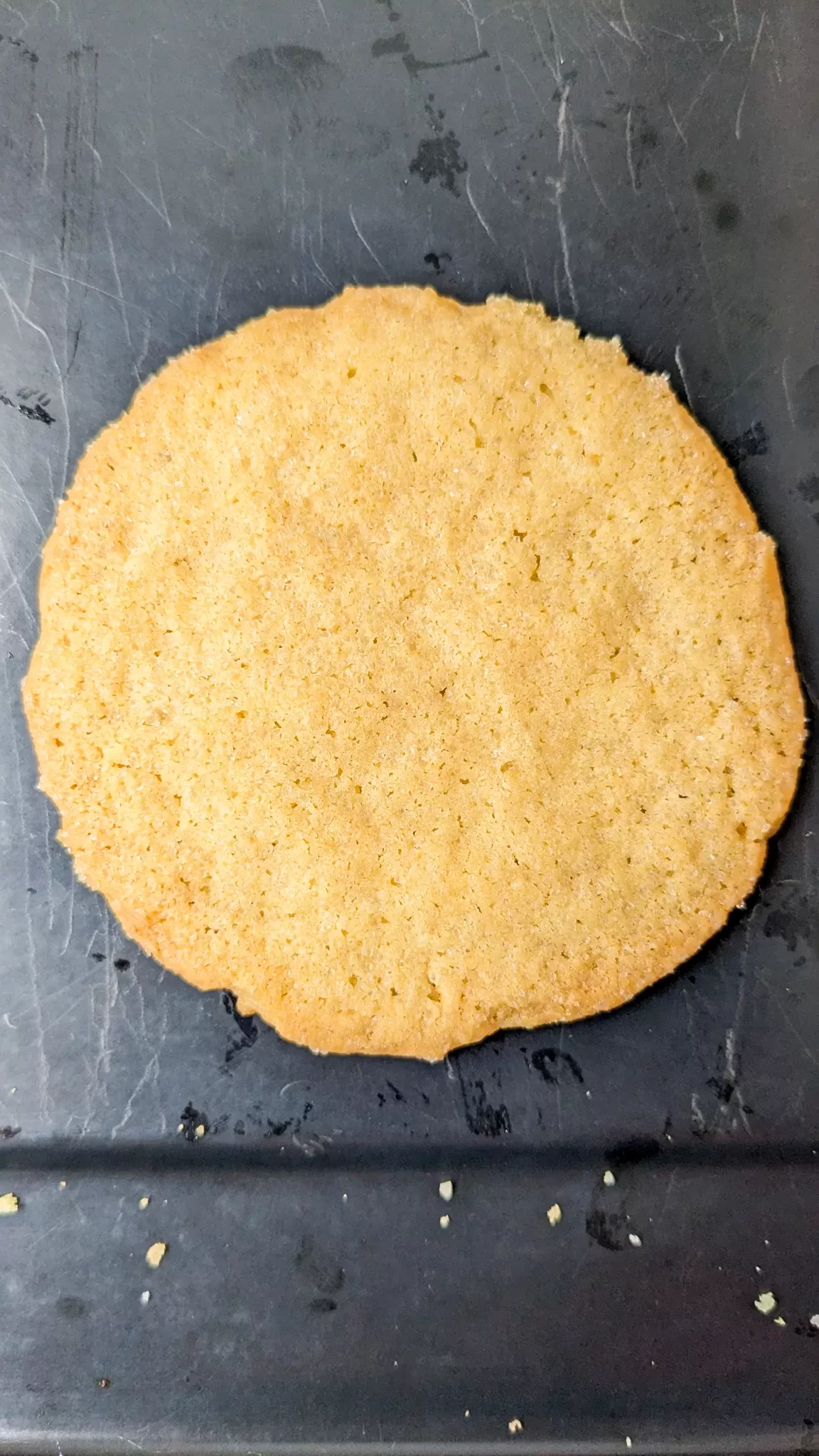 single sugar cookie on black tray