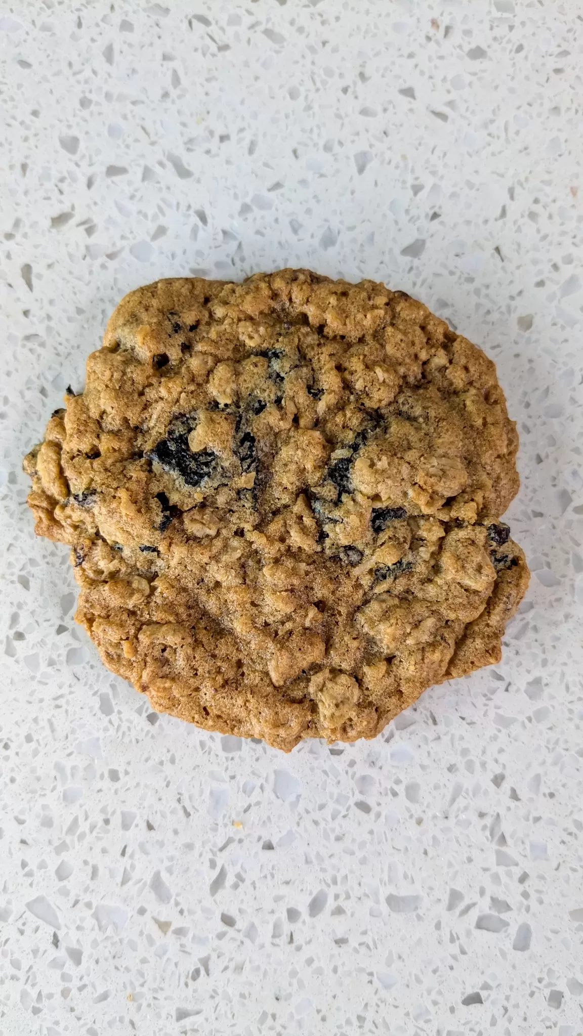 cherry oatmeal cookie