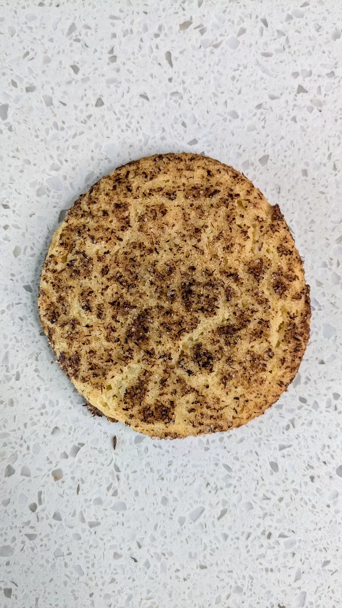 snickerdoodle cookie with a white granite background