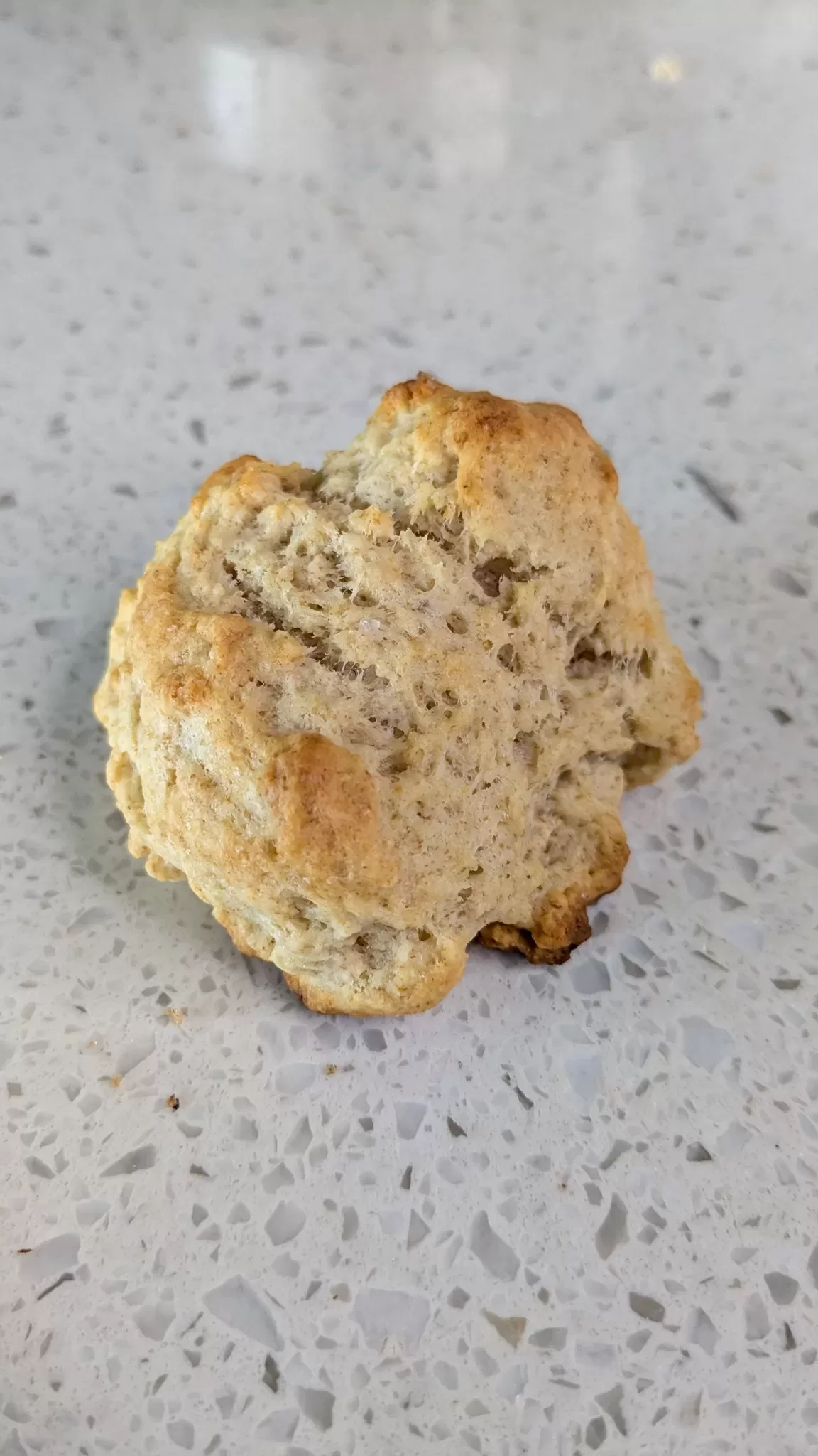 sourdough drop biscuit