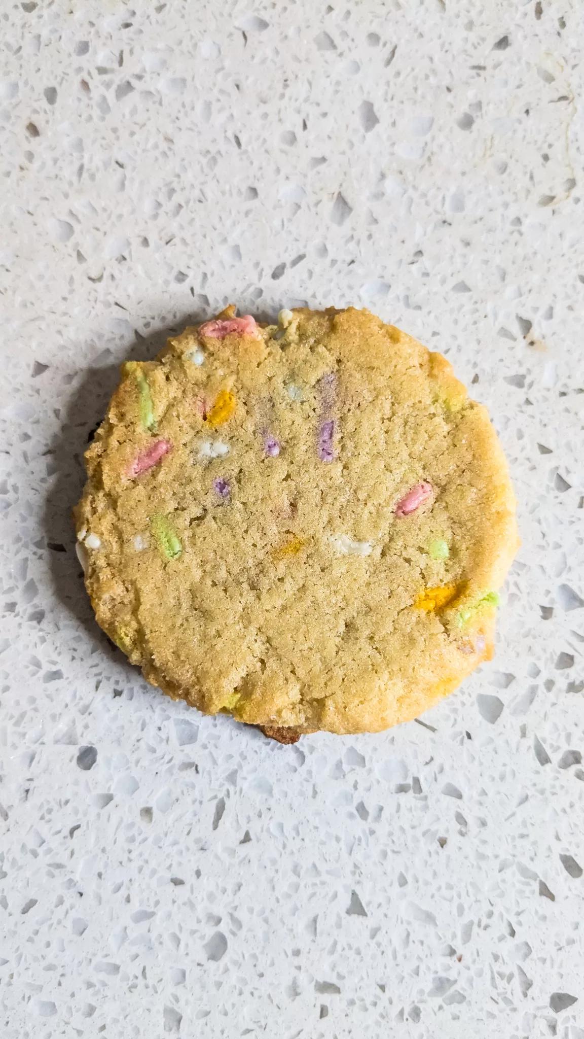 one confetti cookie