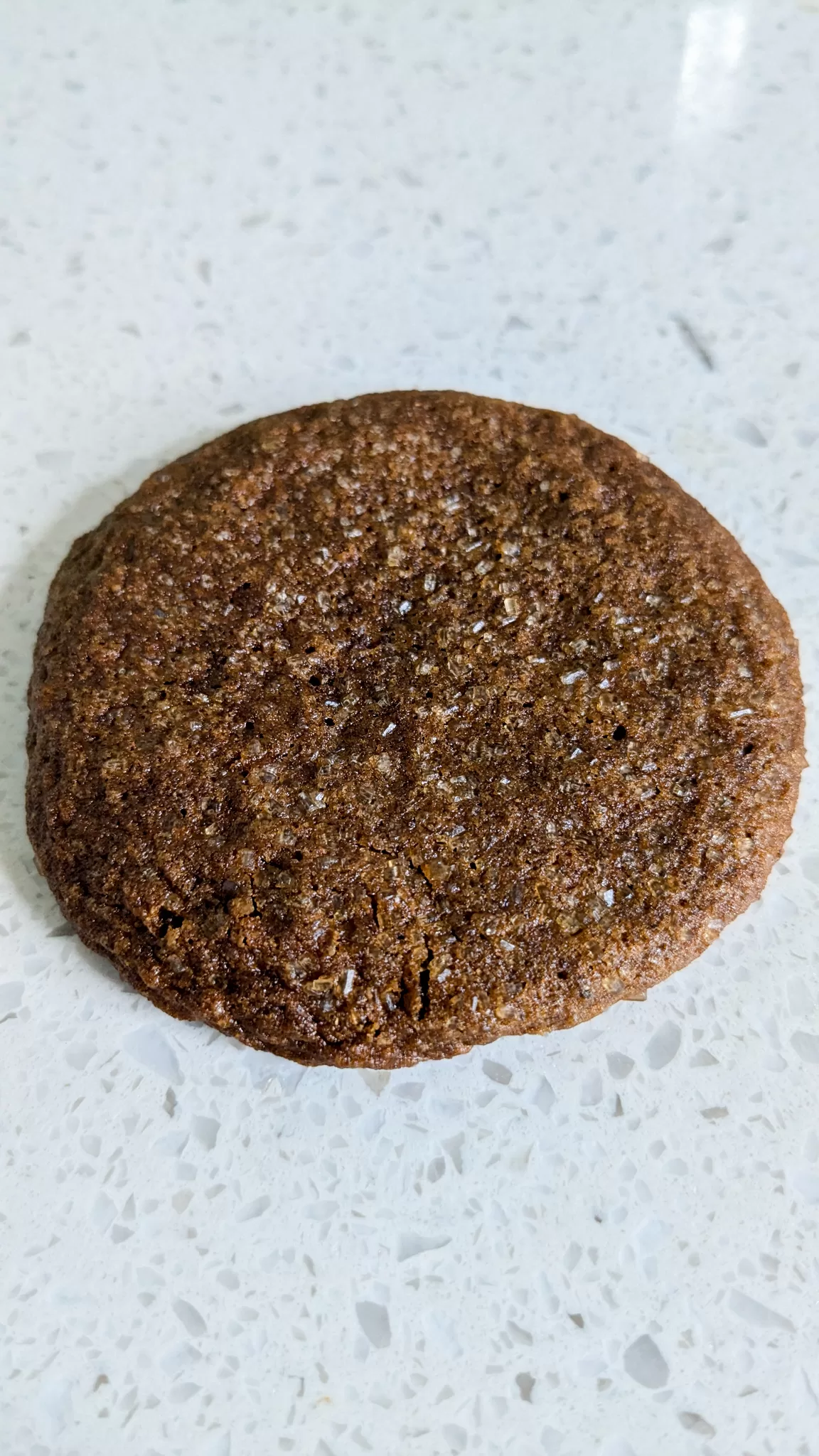 molasses spice cookie